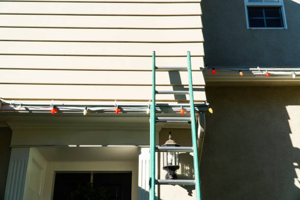 Best Siding Painting and Refinishing  in Ardia, CA