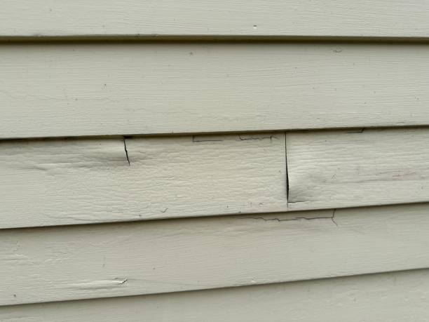 Best Fiber Cement Siding Installation  in Ardia, CA